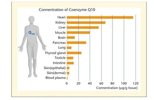 Coenzyme Q10 Health.jpg